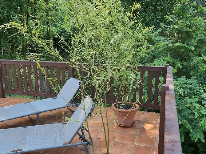P10 Nyaralo Vakantiehuis *